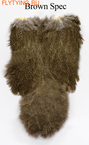 WHITING 53089     Coq de Leon Hen Soft Hackle w/ Chikabou ()