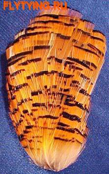 Hareline 53101     Golden Pheasant Complete Tippet