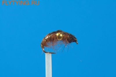 GFT 14187 ����� ����� Czech Nymph Brown GN