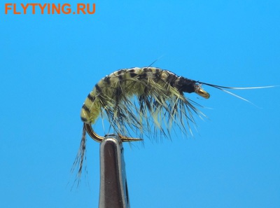 SFT-studio 14030 Мушка имитация бокоплава Freshwater Shrimp Golden Olive Striped SFT-studio 14030 Мушка имитация бокоплава Freshwater Shrimp Golden Olive Striped (фото)