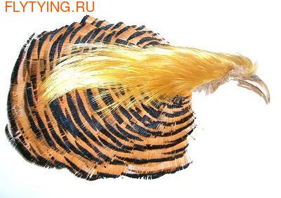 Veniard 53106 Перо фазана Golden Pheasant Complete Head