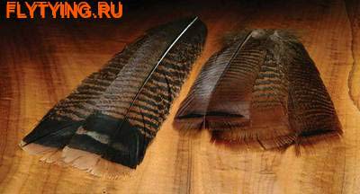 Hareline 53109    Cinnamon Tip Turkey Tail Feathers