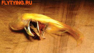 Hareline 53111 Фазана золотого загривок Golden Pheasant Crest