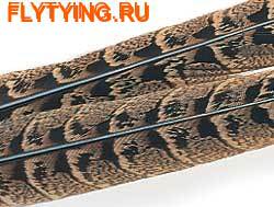 Hareline 53113      Hen Pheasant Wet Fly Tail Pair