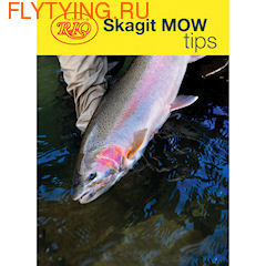 Rio 10348   Skagit MOW Tip ()