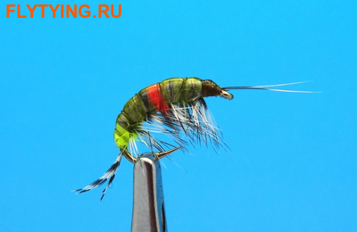 Mikkus & Caddis 14031    Freshwater Shrimp Dk.Olive Orange Spot