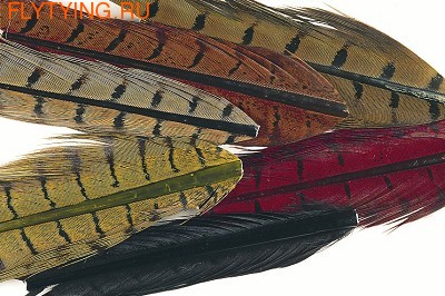Veniard 53136   Pheasant Cock Ringneck Centre Tails Assort ()