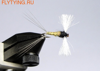 A.Jensen 11025   Poly Spinner BWO ()