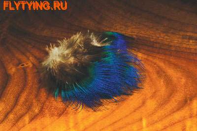 Hareline 53147   Peacock Blue Neck Feathers