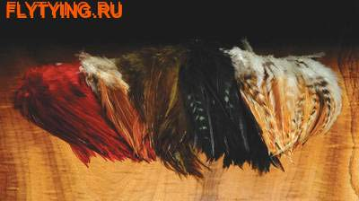 Hareline 53155     Wolly Bugger Saddle Hackle ()