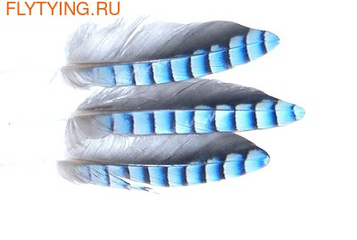 Veniard 53161   Jay Wings Hackles