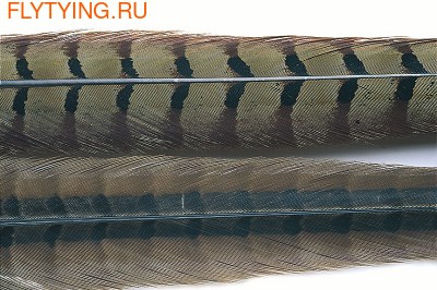Veniard 53172 Перо фазана Cock Pheasant Centre Tail (фото)