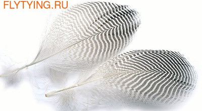 Veniard 53175   Teal Duck Flank mixed size (2 gr) NATURAL