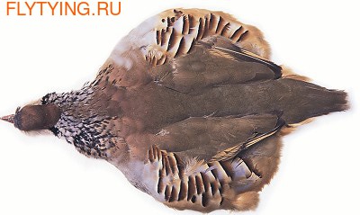 Veniard 53182    French Partridge Complete Skin
