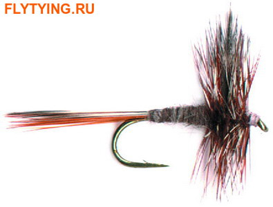 Pacific Fly Group 11123   Adams ()