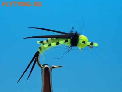 SFT-studio 14053   BH Prince Nymph Rubber Leg Chartreuse ()
