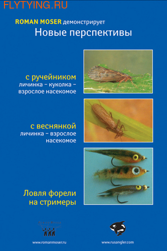  92005 DVD    ,  .    .