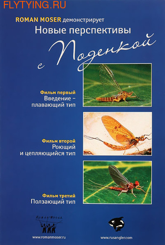  92006 DVD    .