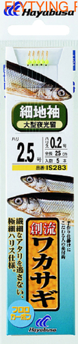 Hayabusa 19039     IS283 ()