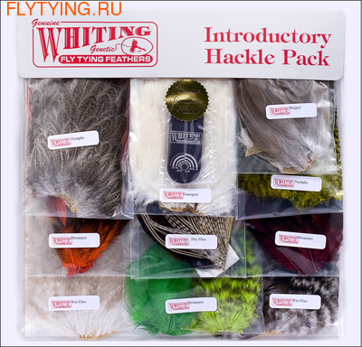WHITING 53027   Introductory Hackle Pack