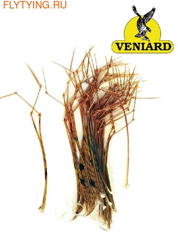 Veniard 58339         Pheasant Legs Knotted ()