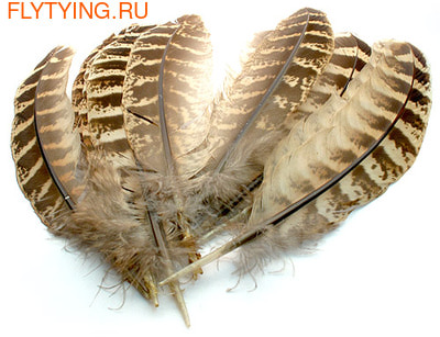 Veniard 53198     Pheasant Hen Ringneck Wing Quills Natural