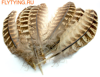 Veniard 53198 Маховые перья самки фазана Pheasant Hen Ringneck Wing Quills Natural