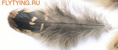 Veniard 53203 Перья самки фазана Pheasant Hen Ringneck Shoulder Feathers Natural