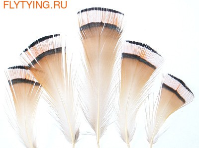 Veniard 53207 Шейные перья золотого фазана Golden Pheasant Tippet Feathers