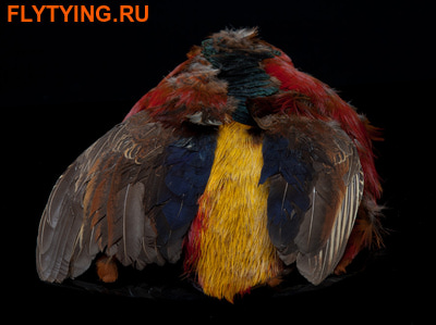A.Jensen 53224    Golden Pheasant Body Skin ()