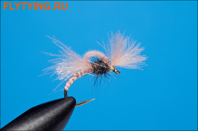 Rusangler 12033   Loopy Biot CDC