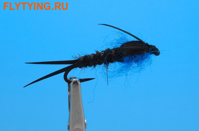 Pacific Fly Group 14412   Winter Stone Black ()