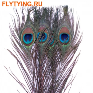 SFT-studio 53248   Peacock Eyes 50cm ()