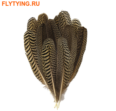 Spirit River 53250 Перо павлина Peacock Quill (фото)