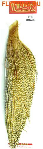 WHITING 53263    1/2 Rooster Dry Fly Cape PROGRADE ()