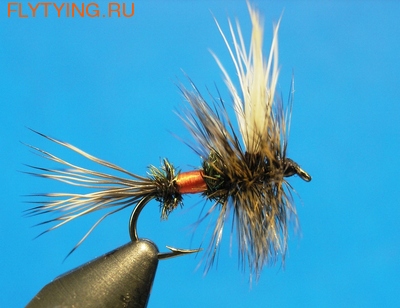 SFT-studio 11004    Royal Wulff
