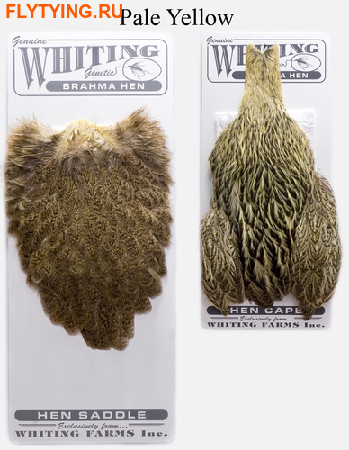 WHITING 53274   Brahma Hen Cape and Saddle Set ()