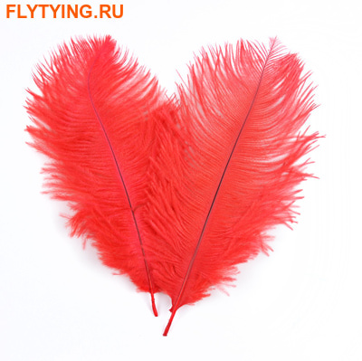 SFT-studio 53280   Ostrich Plumes