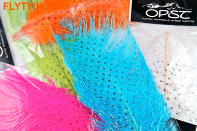 OPST 53297   Dotted Ostrich Intruder Plumes ()