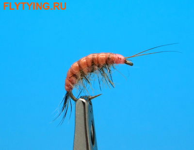 Mikkus & Caddis 14247    Freshwater Molting Scud ()