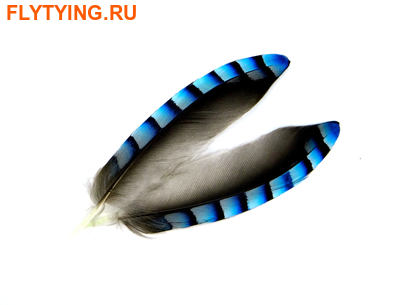 River-Fly 53301   Jay Wings Hackles ()