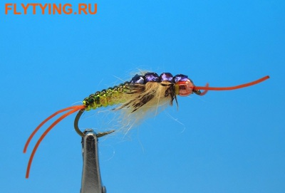 Pacific Fly Group 14421   Strolis Shimmer Stone Golden ()