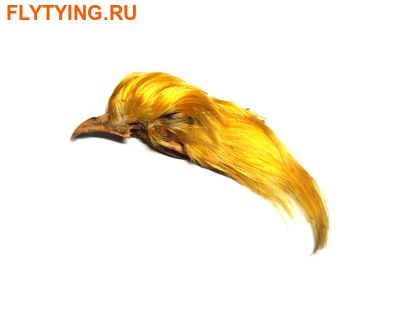 SFT-studio 53306    Golden Pheasant Topping Crest ()