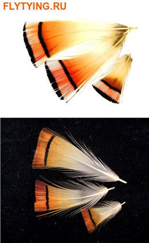 SFT-studio 53307     Golden Pheasant Tippet Feathers ()