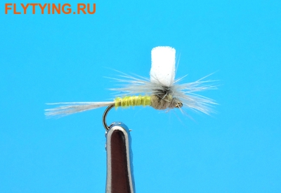 A.Jensen 11051   PMD Para Biot Body ()