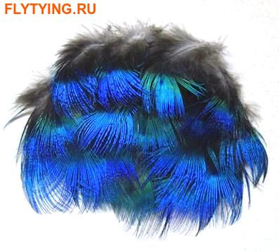 SFT-studio 53309   Peacock Blue Neck Feathers ()