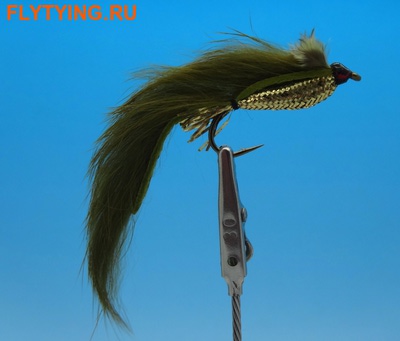 Pacific Fly Group 15380   Zonker Olive ()