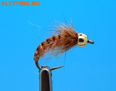 Mikkus & Caddis 14515   Striped On A Rock Ginger (, Mikkus & Caddis 14515   Striped On A Rock Ginger)