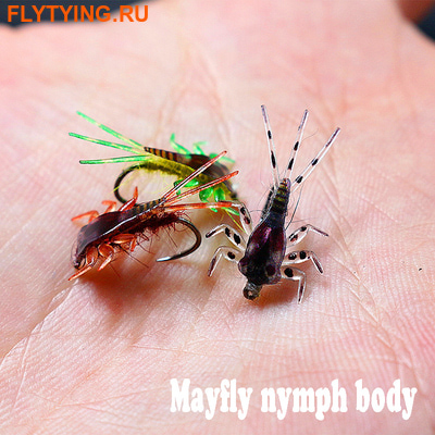 Royal Sissi 58356  Mayfly Nymph Body Set ()