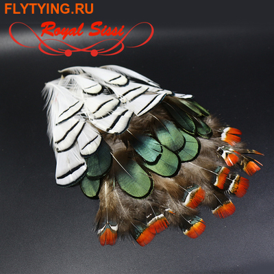 Royal Sissi 53316   Lady Amherst Pheasant Feather Set ()